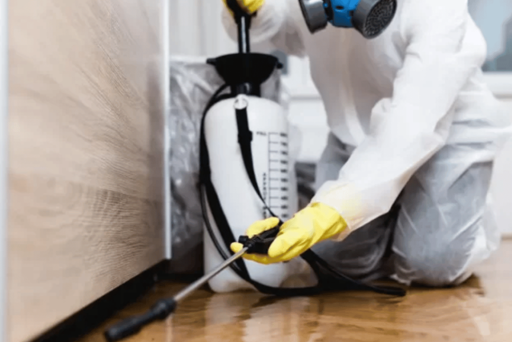 Healthcare Pest Control Services